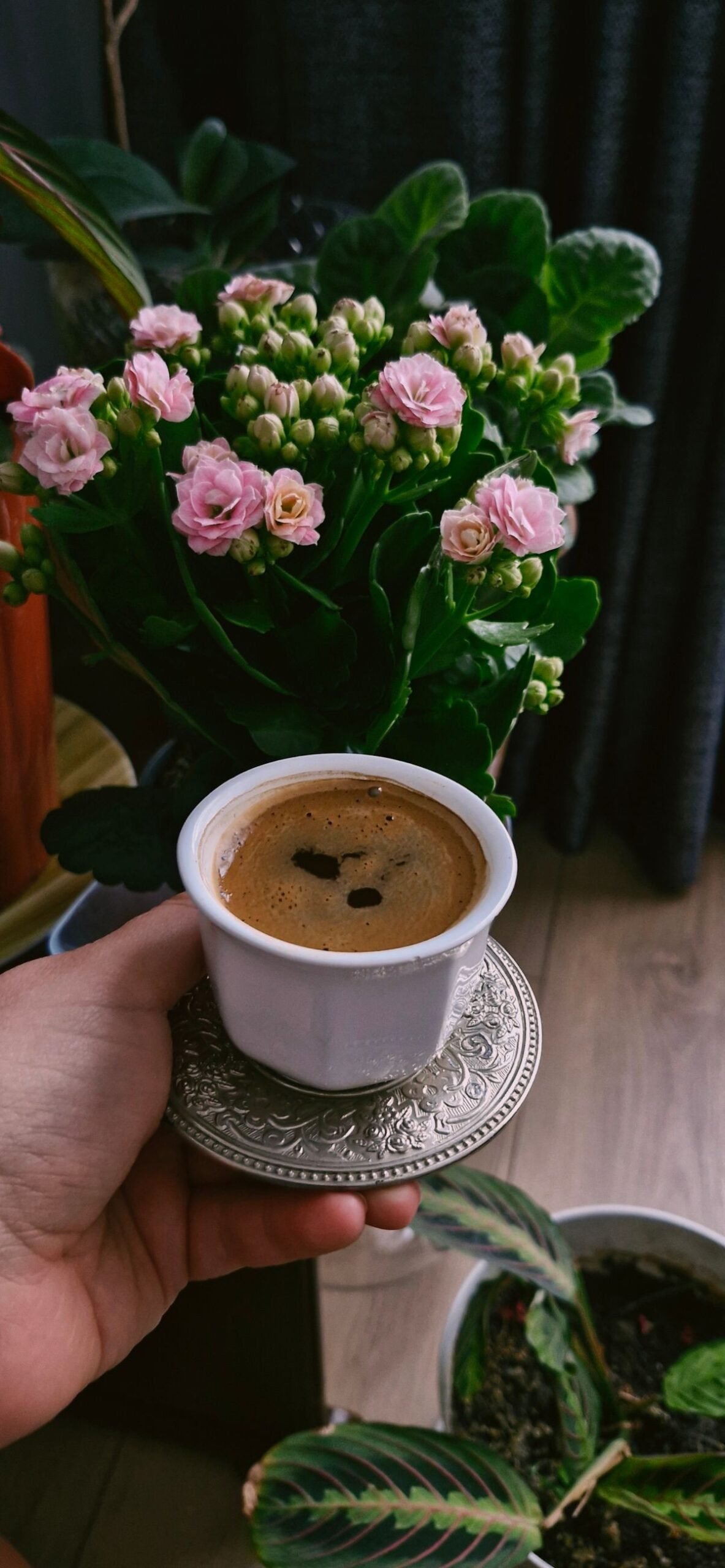 Granos de café tostado, fuente natural de cafeína