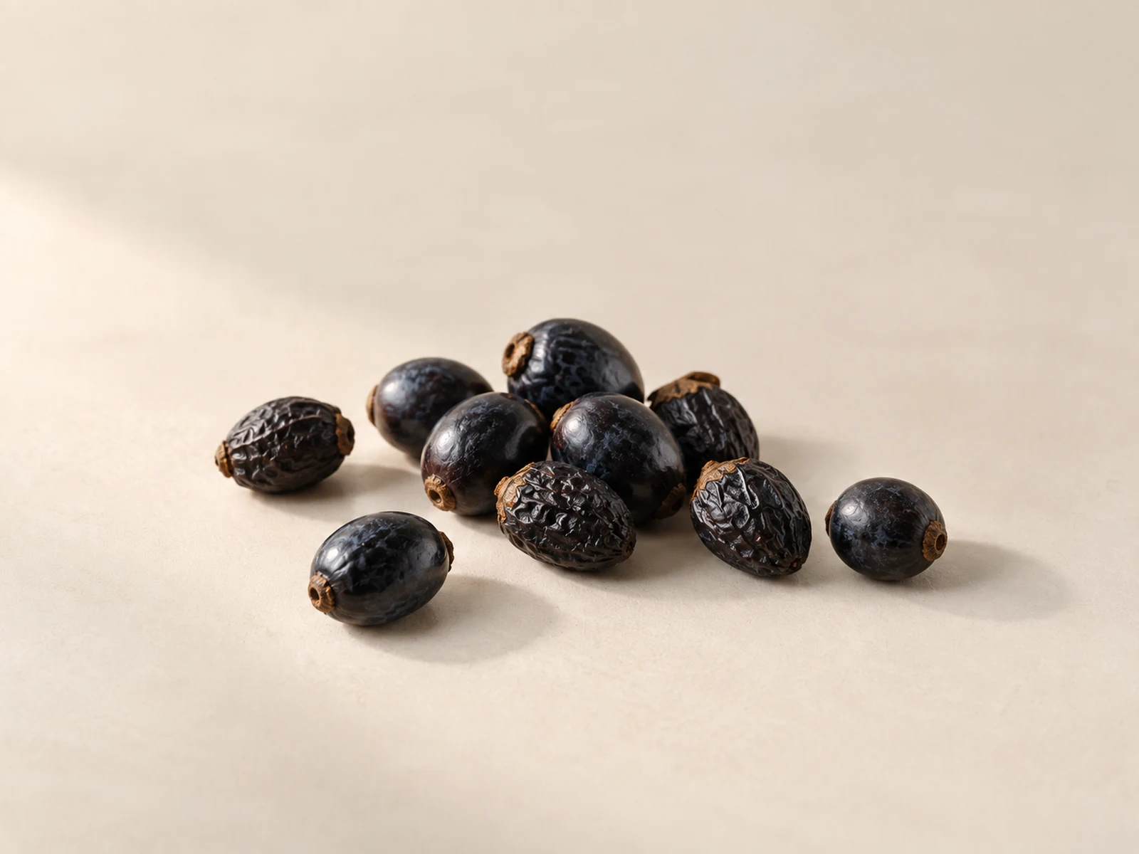 Folinove Frutos secos de saw palmetto sobre fondo crema